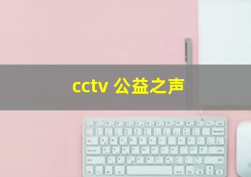 cctv 公益之声